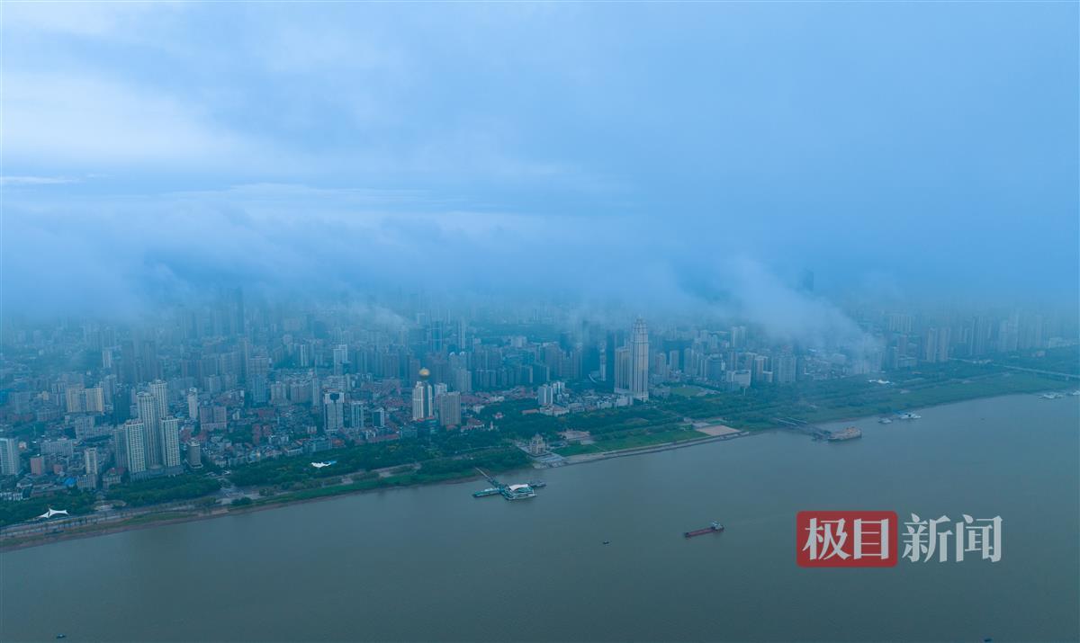白菜全网讯